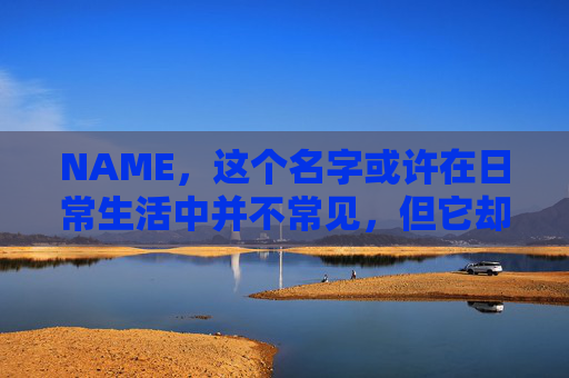 NAME，这个名字或许在日常生活中并不常见，但它却在某些领域里扮演着重要的角色。今天，让我们一起来探索这个名字背后的故事和意义